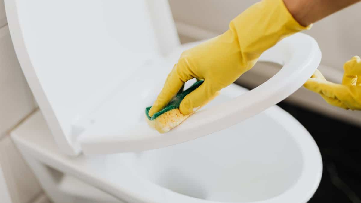 From above of crop faceless person in yellow rubber cleaning gloves cleaning plastic toilet seat properly with sponge in restroom