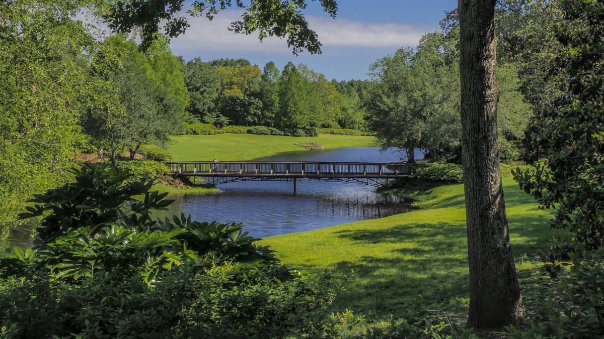 A peaceful wooden bridge spans over a scenic pond surrounded by vibrant greenery in Theodore, Alabama.