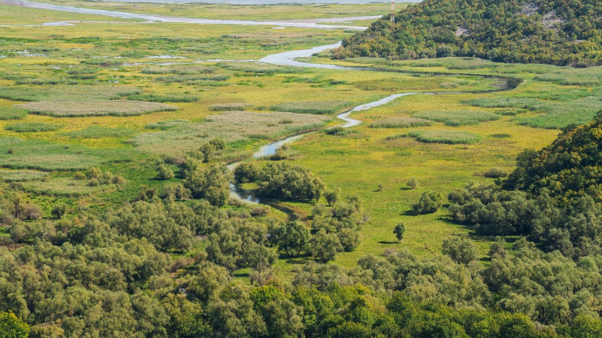 Explore a tranquil countryside landscape with winding river, trees, and lush green fields from above.