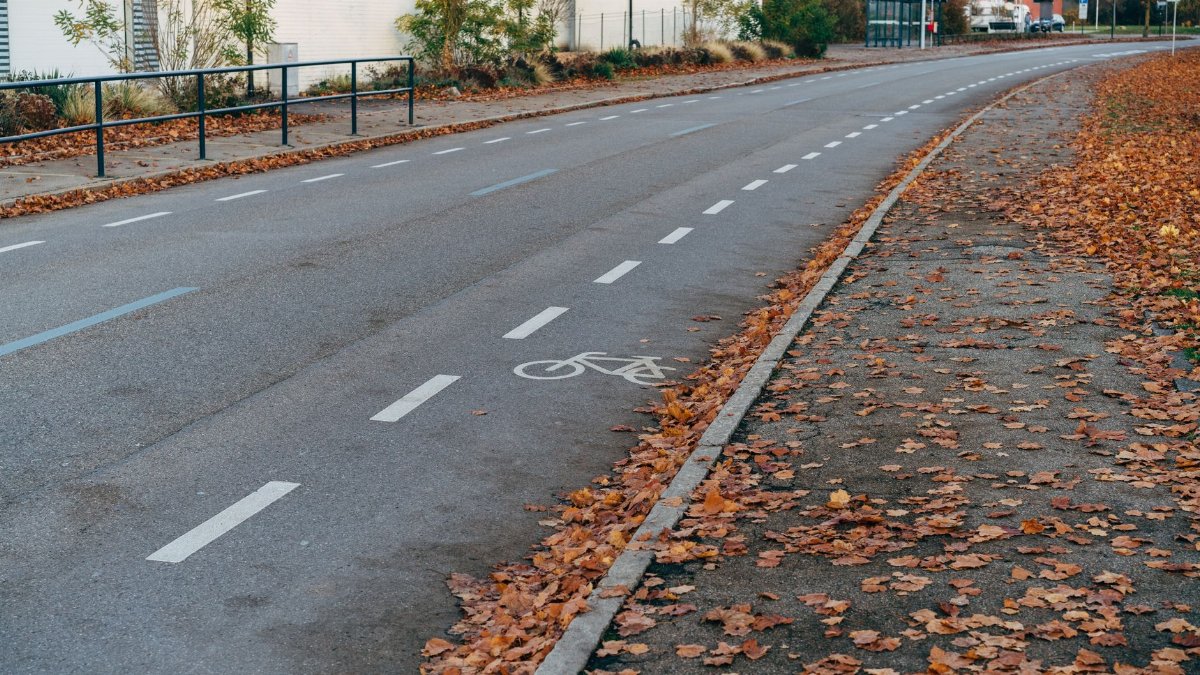 A deserted urban bike lane covered with autumn leaves, offering a tranquil cityscape view.