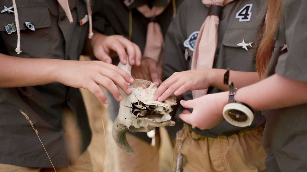 Children in scout uniforms examine an animal skull during an outdoor adventure.