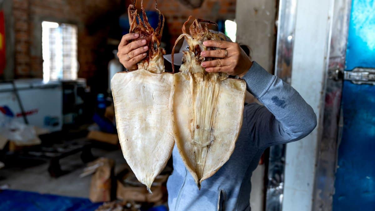 A person holds two large dried squids in an indoor warehouse environment, showcasing seafood preparation.
