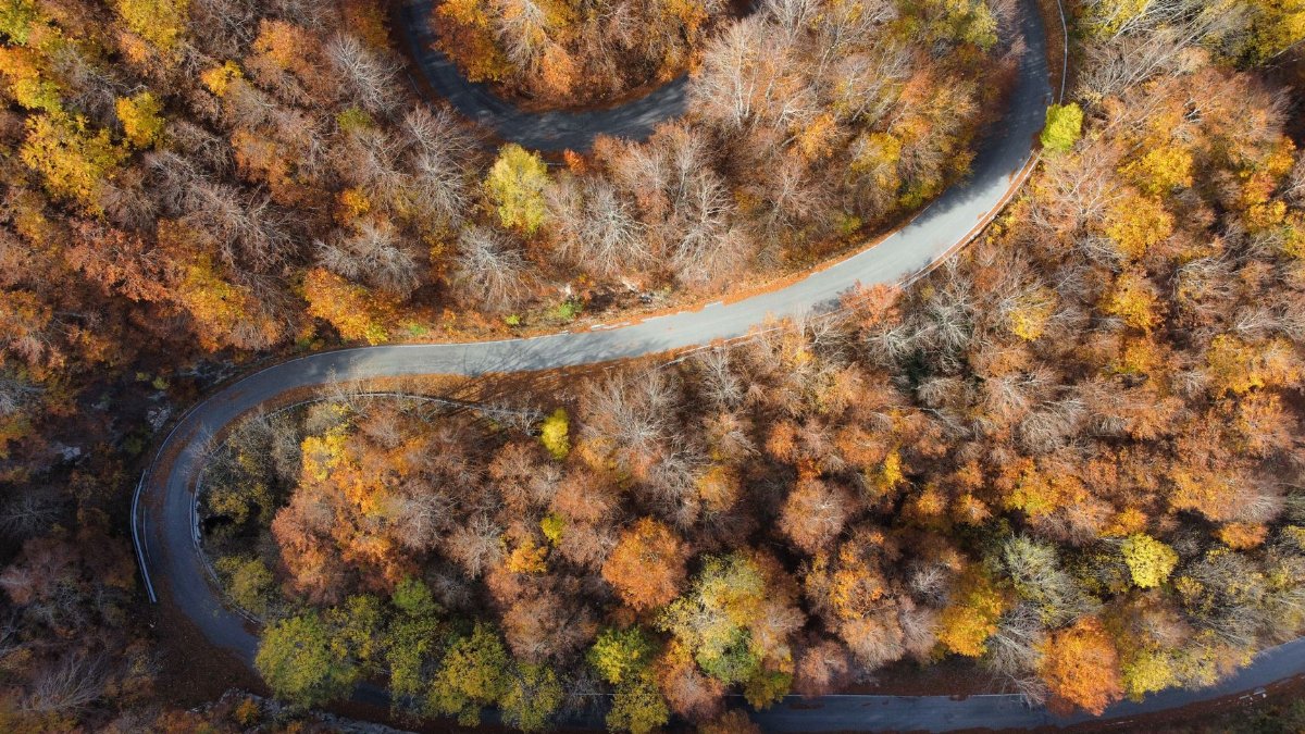 Drone captures a zigzag road winding through scenic autumn forest with vibrant foliage.