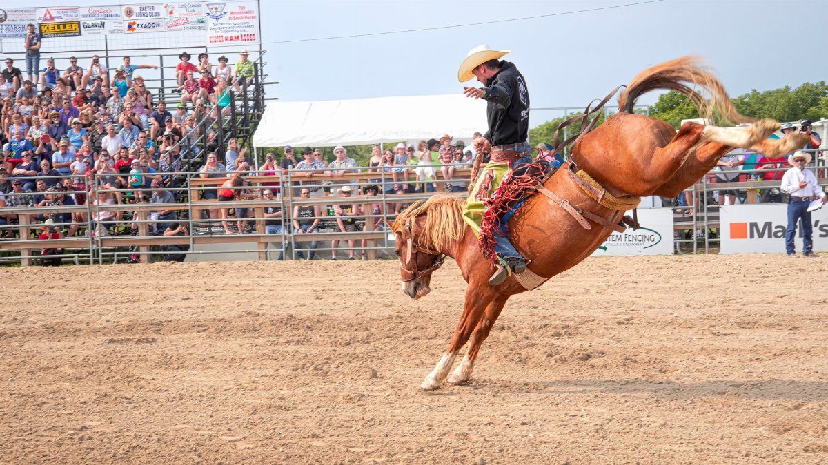 Dynamic rodeo scene with a cowboy on a bucking horse in front of a cheering crowd.