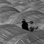Black and white of unrecognizable male farmer with shovel walking between hothouses in countryside