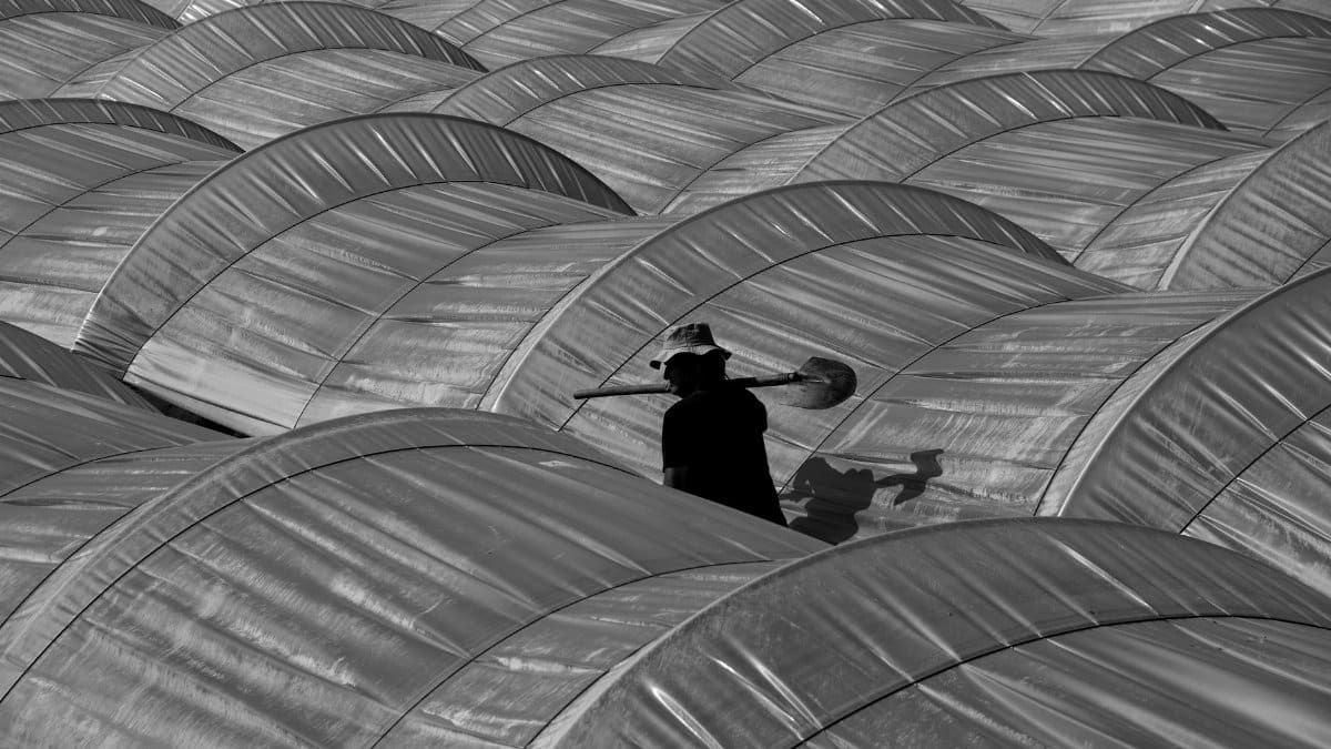 Black and white of unrecognizable male farmer with shovel walking between hothouses in countryside