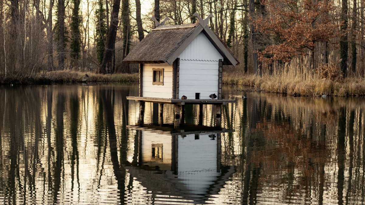 Idyllic lakeside cabin surrounded by serene wooded area with perfect water reflection.