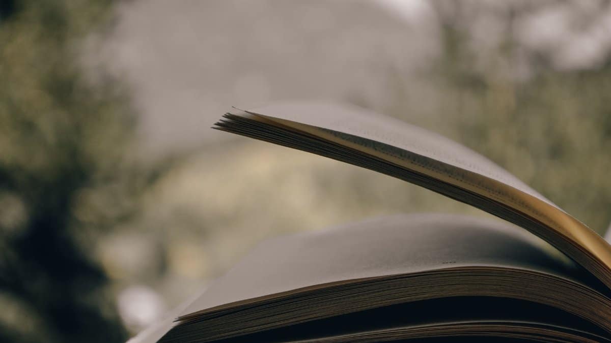 Close-up of open book pages with blurred greenery background, emphasizing reading outdoors.