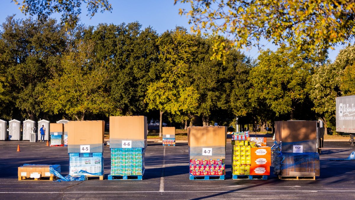 Pallets in a parking lot surrounded by trees. Ideal for logistics and supply chain concepts.