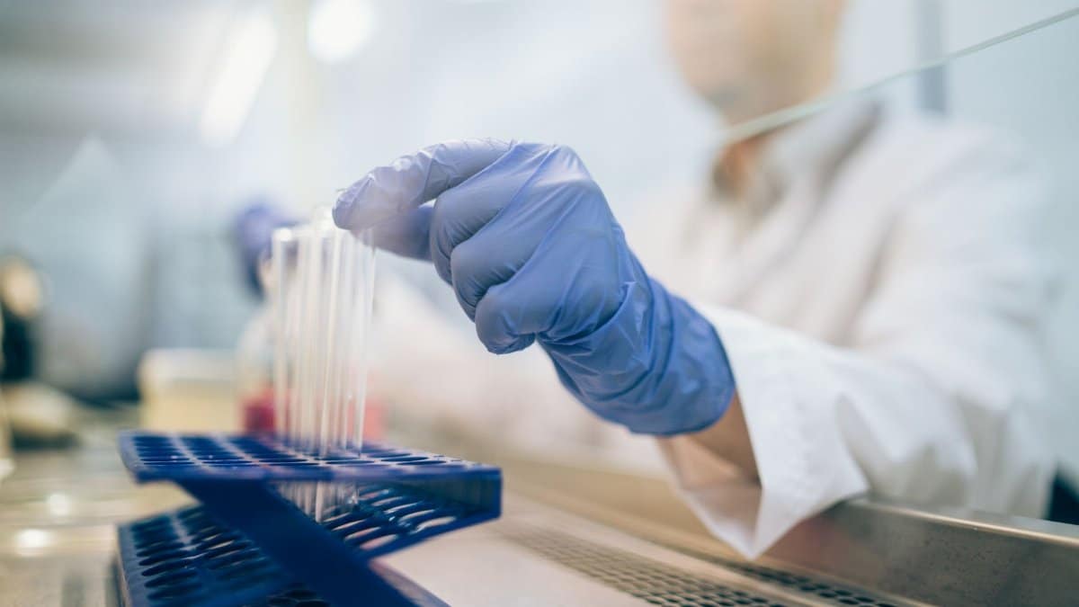 Close-up of a scientist wearing gloves and handling test tubes in a laboratory environment.