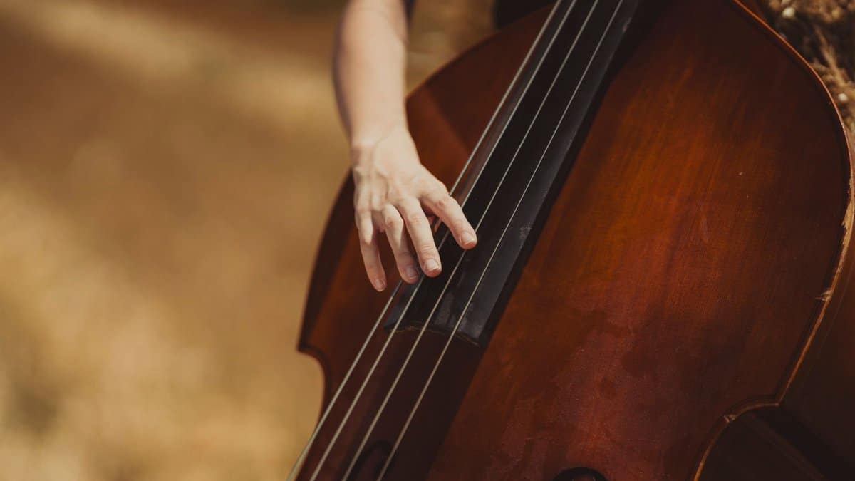 Hand of a musician playing a double bass outdoors in warm light, focusing on the strings.