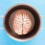Creative shot of a human brain model in a pot against a blue backdrop, symbolizing mind and thought.