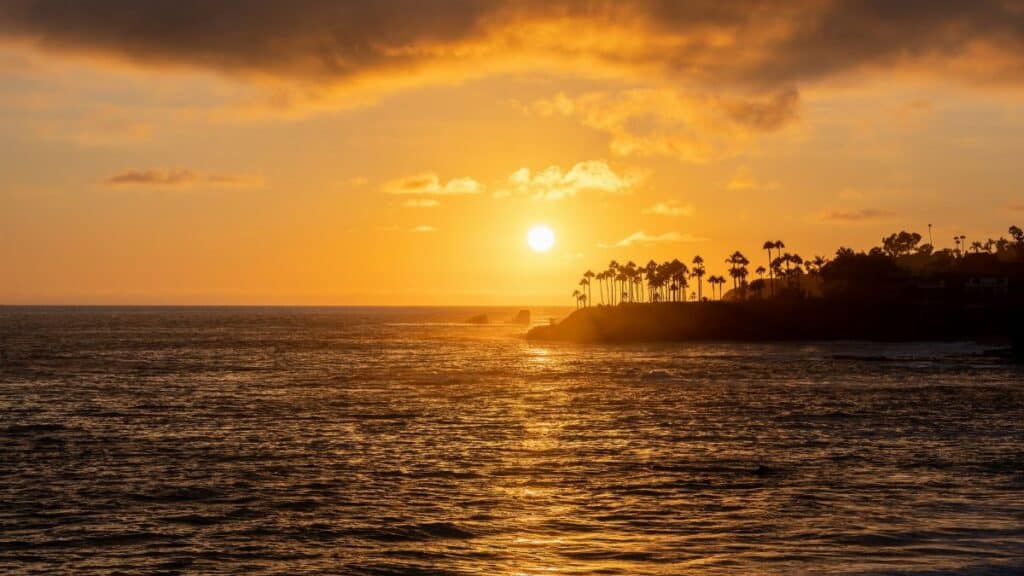 Serene sunset over the Pacific Ocean at Laguna Beach, highlighting palm silhouettes.