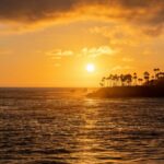 Serene sunset over the Pacific Ocean at Laguna Beach, highlighting palm silhouettes.
