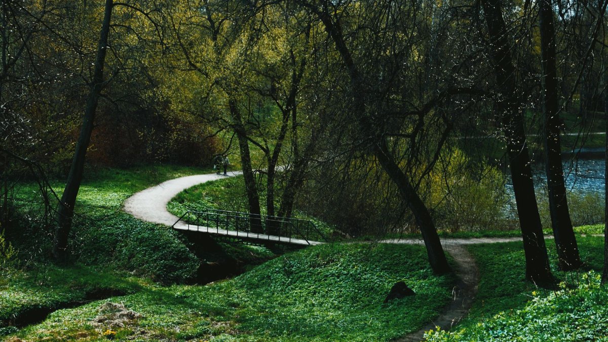 A tranquil winding path through a vibrant spring forest beside a gentle stream.