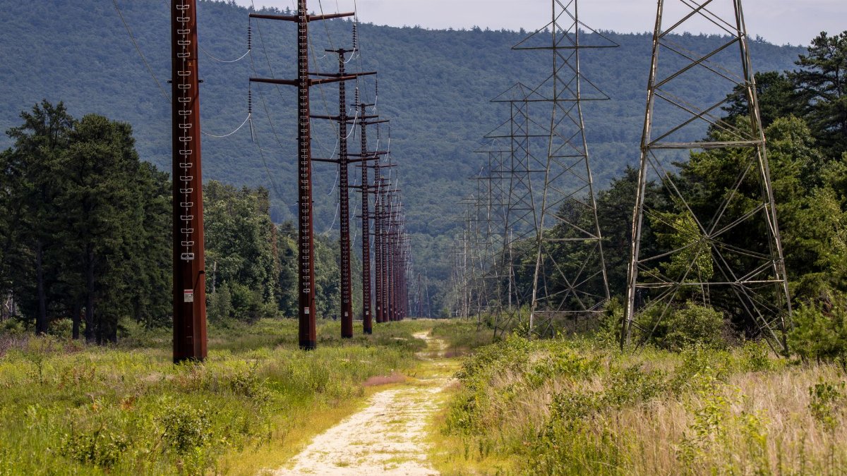 Transmission towers align through lush greenery with a mountain backdrop, symbolizing rural electricity infrastructure.