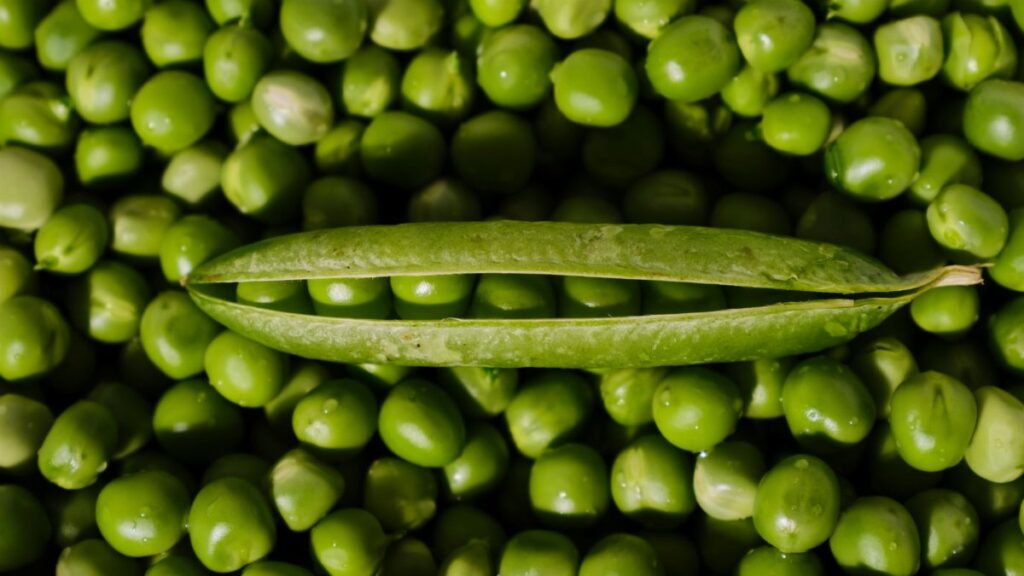 Vibrant fresh green peas with an open pod showcasing organic produce.