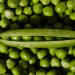 Vibrant fresh green peas with an open pod showcasing organic produce.