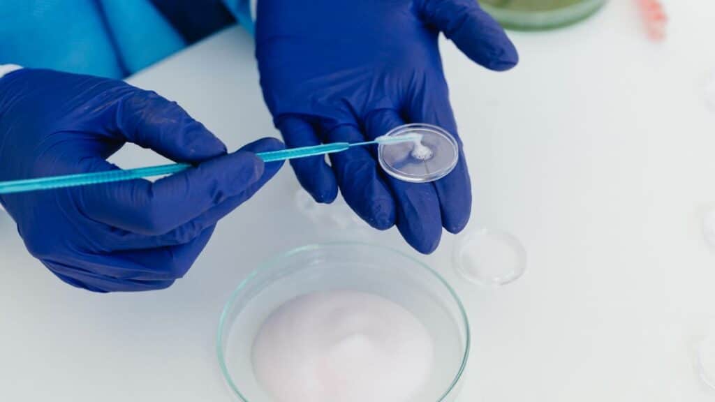 Researcher with gloves handling petri dish using laboratory equipment.