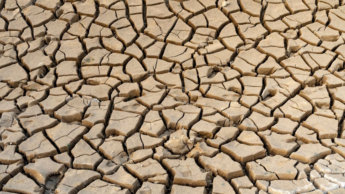 A dry, cracked earth surface showcasing severe drought and environmental issues.