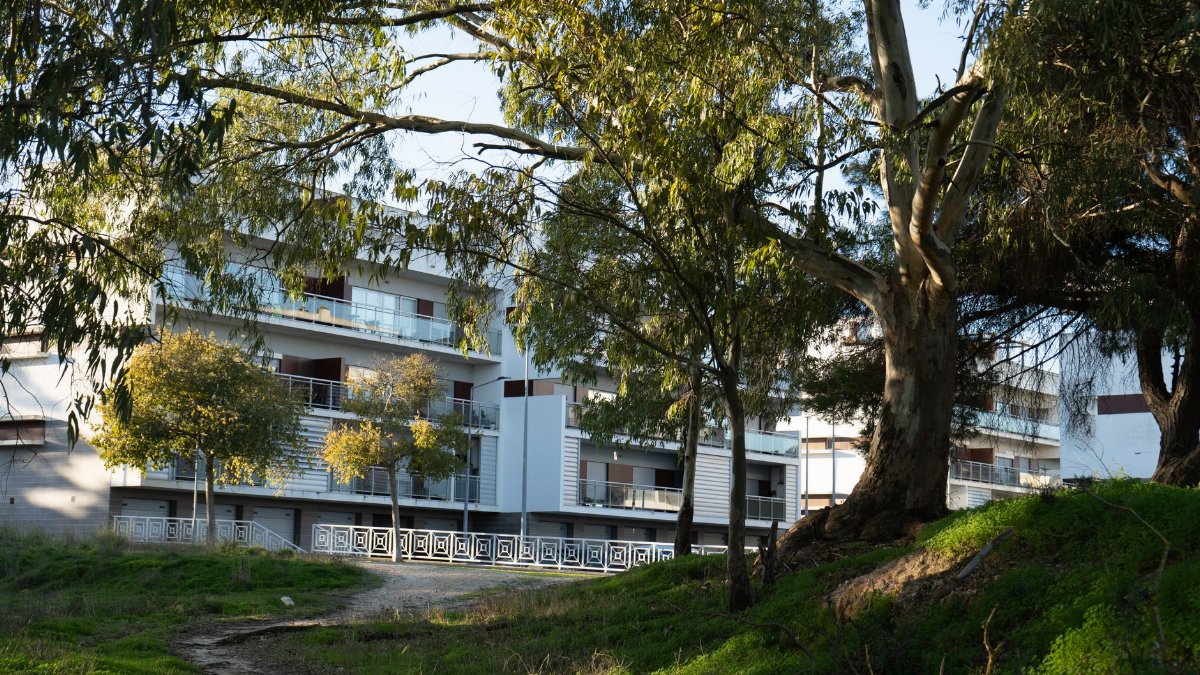 A contemporary residential building in Portugal framed by flourishing trees under a clear sky.