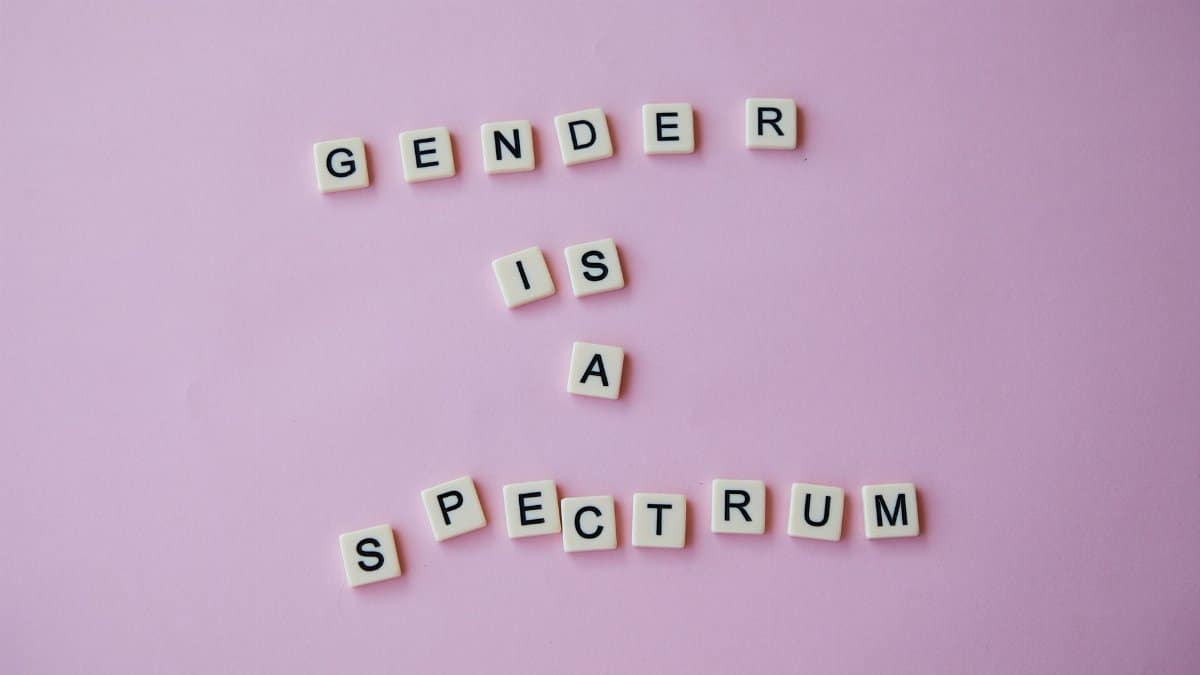 From above of composition made of letters with inscription Gender is a spectrum placed on pink background in studio