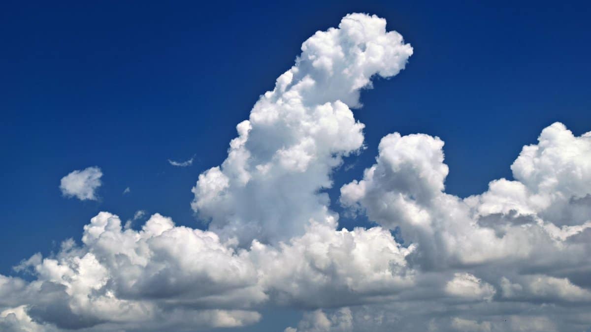 Stunning cumulus clouds in a vibrant blue sky over Sarasota, Florida.
