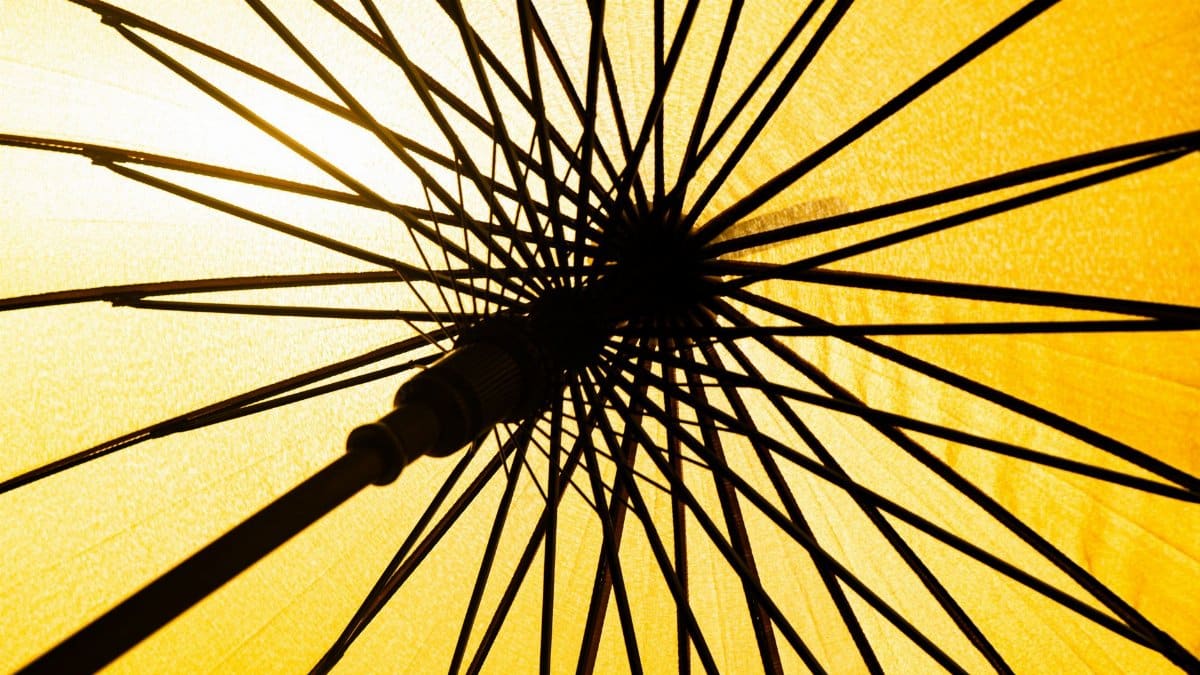 A black and yellow geometric pattern shines through a backlit umbrella creating a stunning abstract design.