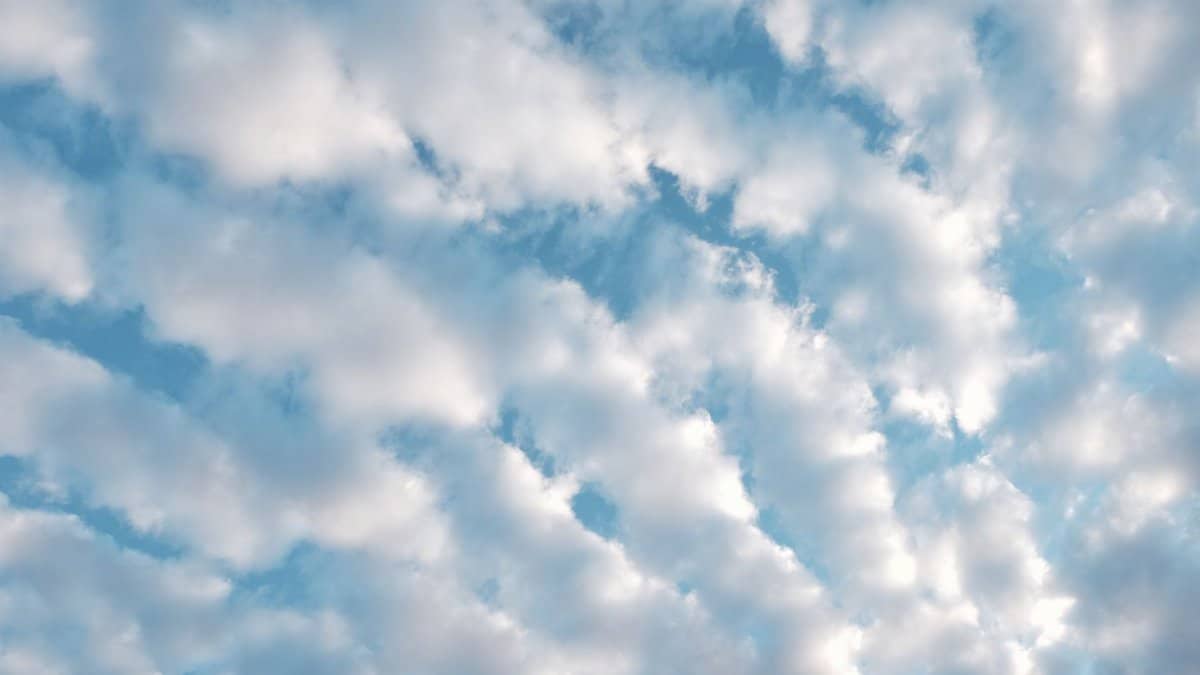 A serene view of fluffy clouds scattered across a bright blue sky, ideal for nature and weather themes.
