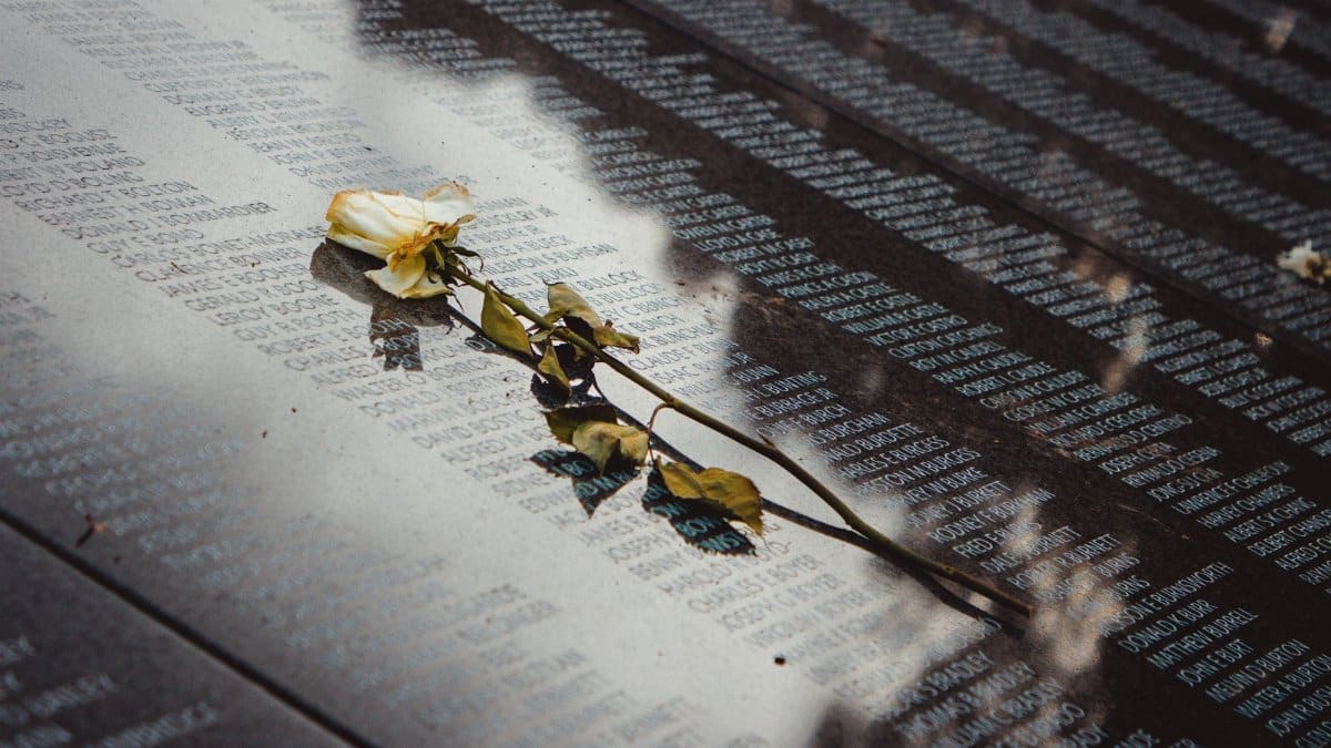 A white rose placed on a reflective memorial wall listing names, conveying remembrance.