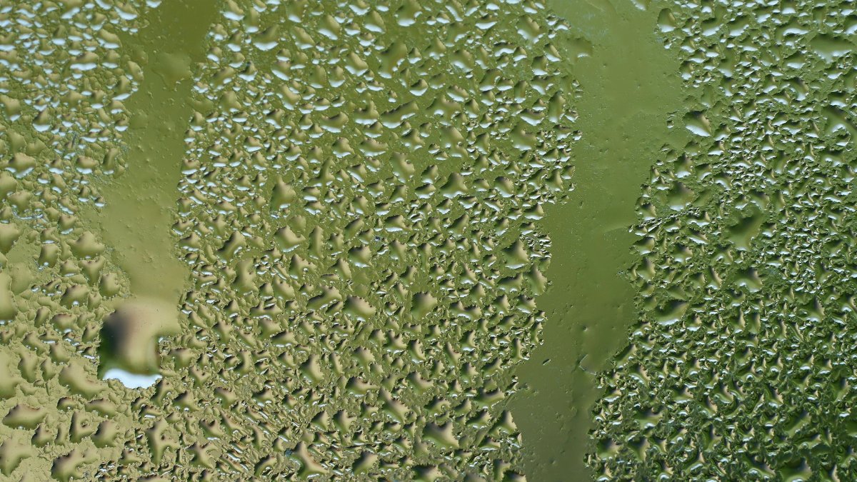 Close-up of raindrops on a green glass surface, capturing texture and wetness.