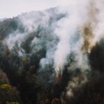 Aerial view of smoke rising from forest fires in Chattanooga, Tennessee, USA.