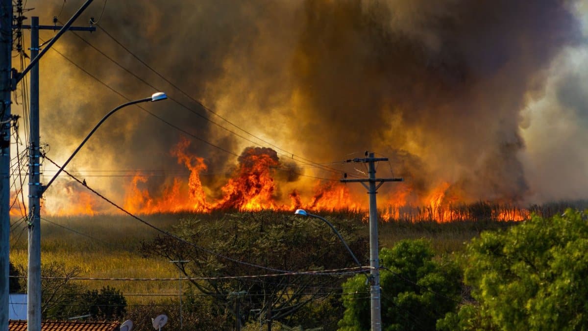 A blazing wildfire spreads through a field, emitting thick smoke.