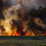 Dynamic image of a wildfire engulfing a countryside field, with thick smoke and flames.
