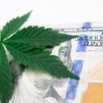 Cannabis leaf on a US hundred dollar bill symbolizing the marijuana economy.