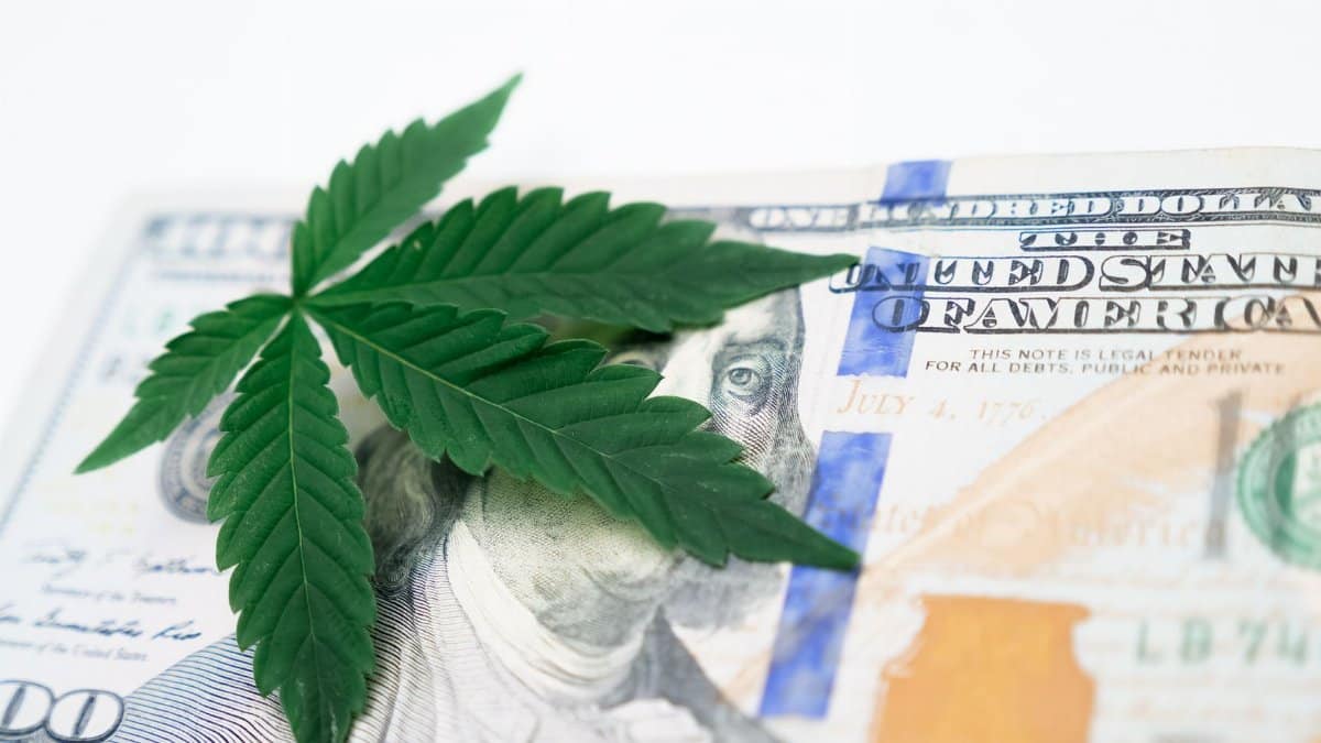 Cannabis leaf on a US hundred dollar bill symbolizing the marijuana economy.