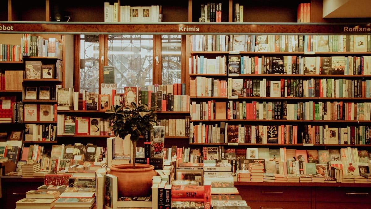 An inviting bookstore interior with shelves full of diverse books, offering a warm literary atmosphere.