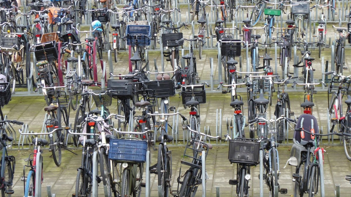 A crowded outdoor bicycle parking lot filled with numerous parked bicycles.