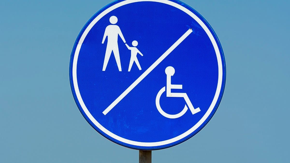 Traffic sign indicating separate zones for pedestrians and wheelchairs on a clear day.