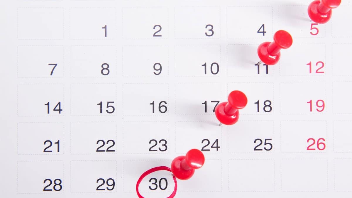 Close-up of a calendar with red push pins marking important dates, emphasizing deadlines.