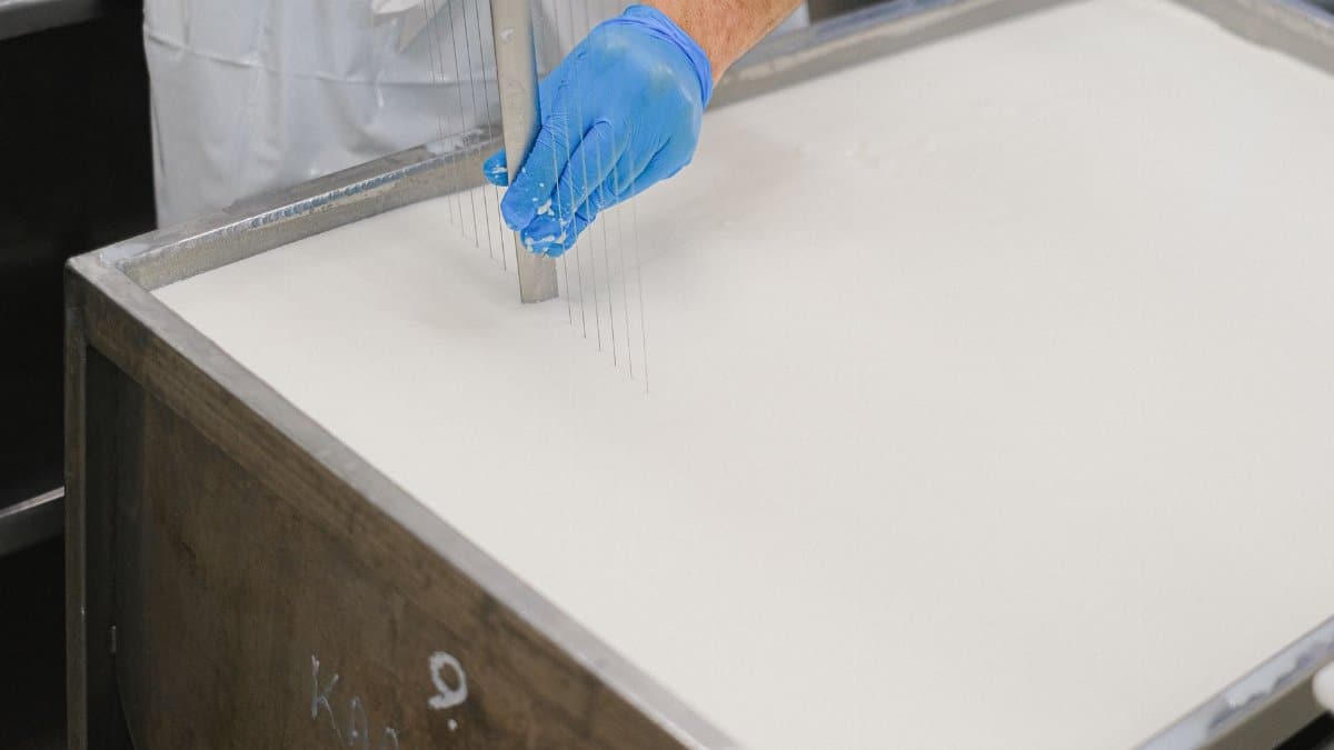 Worker using a tool in cheese production at a dairy, showcasing detailed cheese-making process.