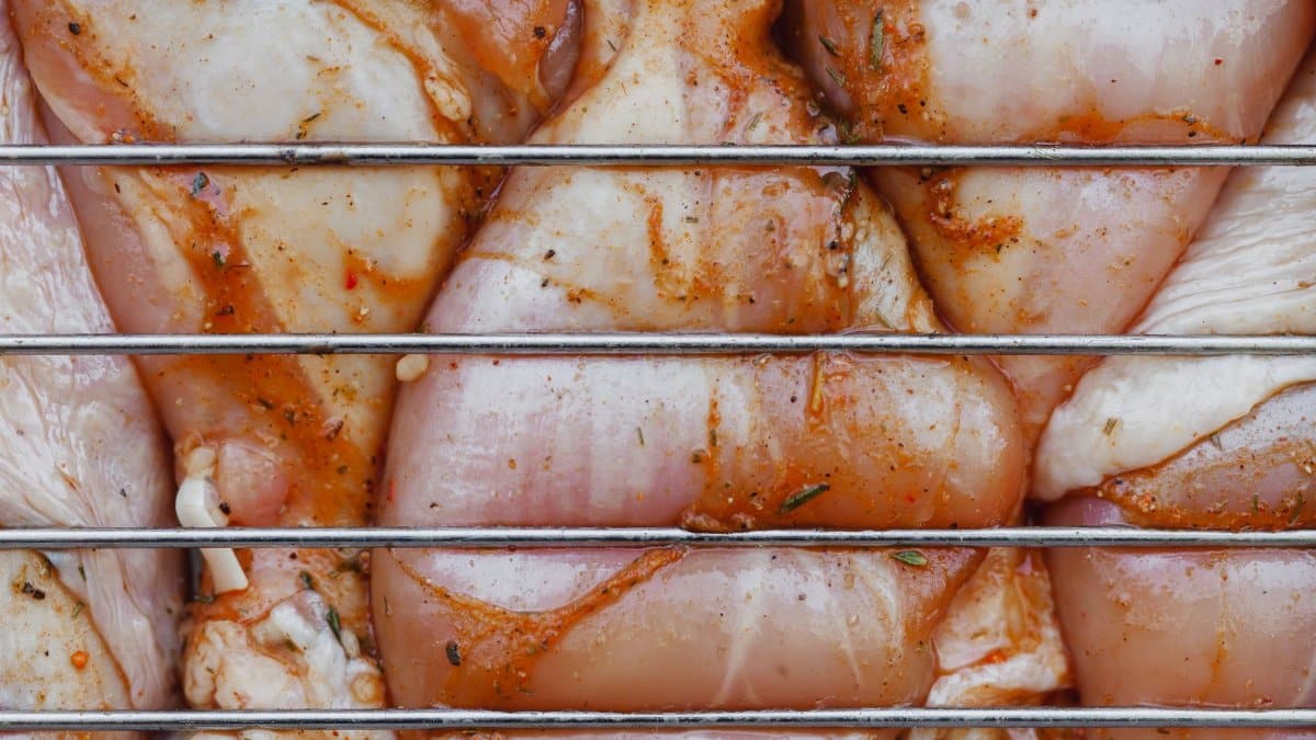 From above of closeup of raw chicken legs with seasoning cooking on metal grill grate