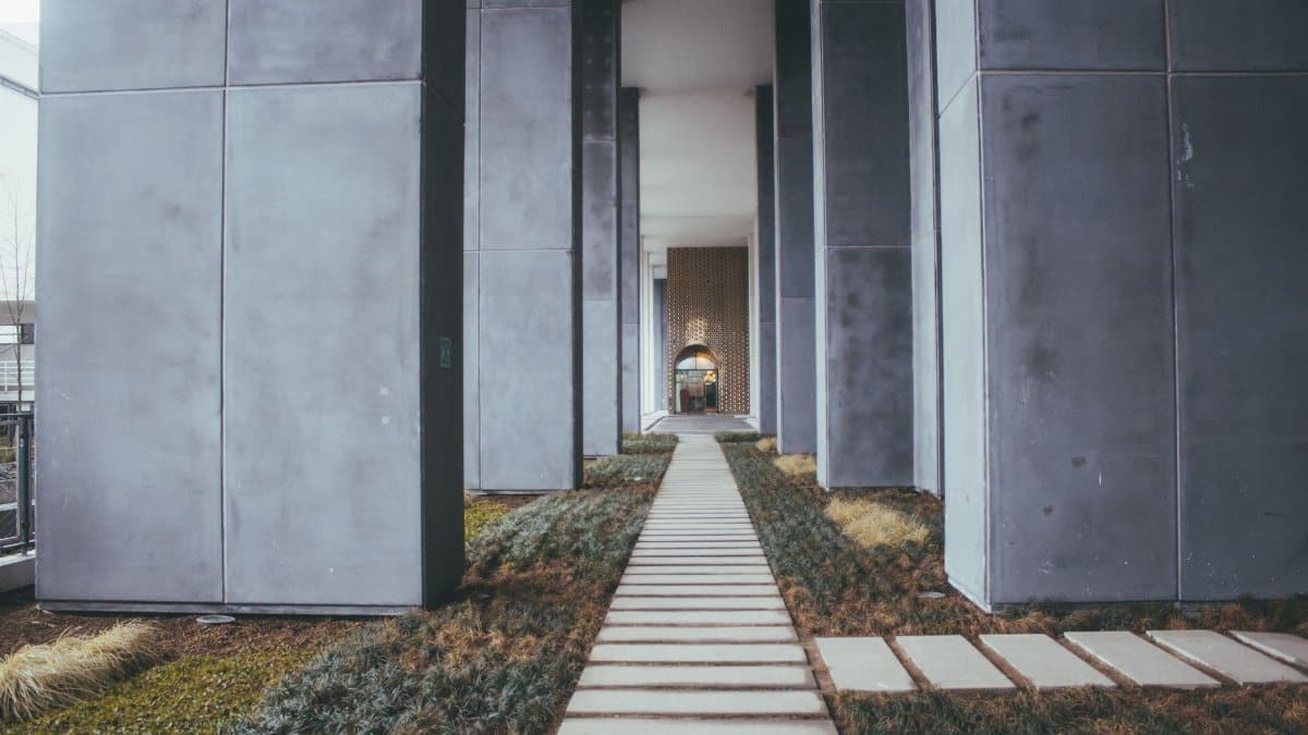 A path lined with tall columns and greenery exemplifies modern architectural design.