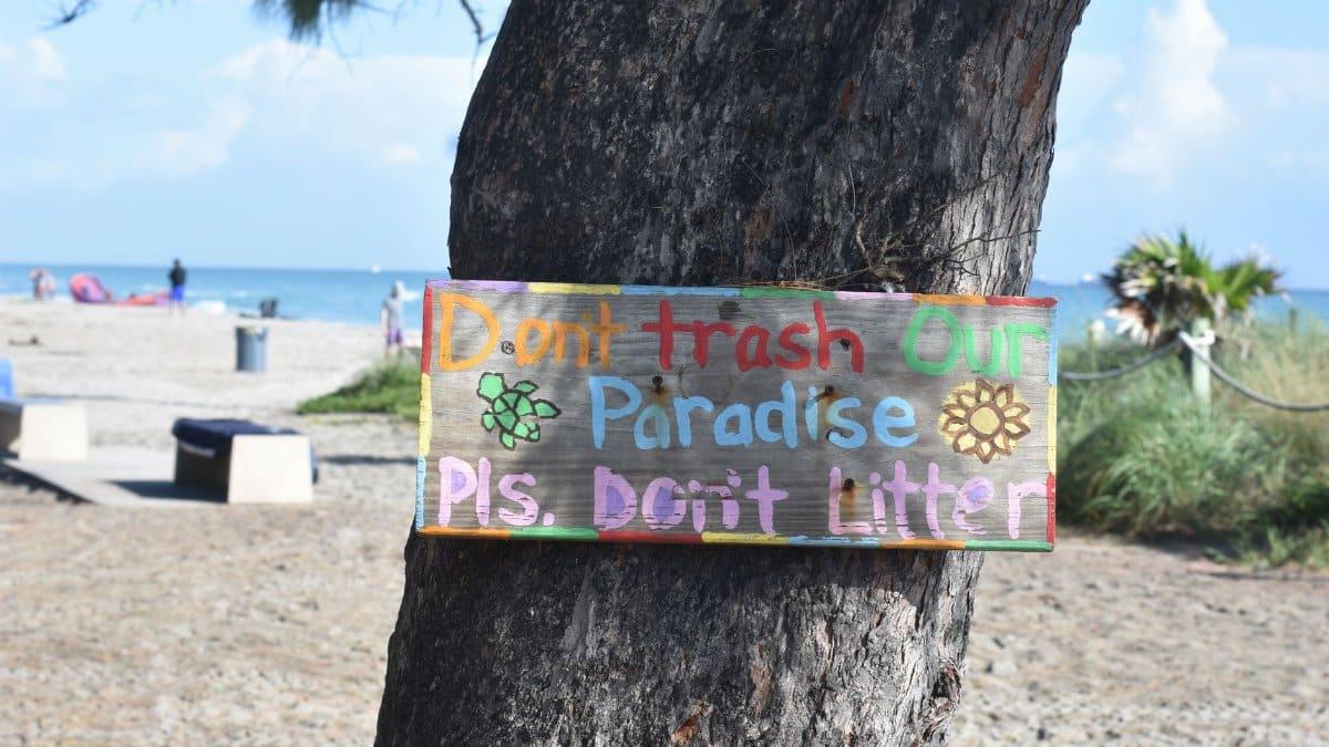 Colorful sign on a tree at Dania Beach urging visitors not to litter, enhancing beach beauty.