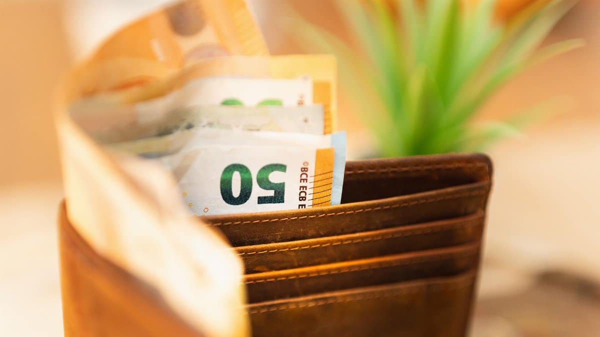 Close-up of a wallet with euro notes and a green plant in the background.