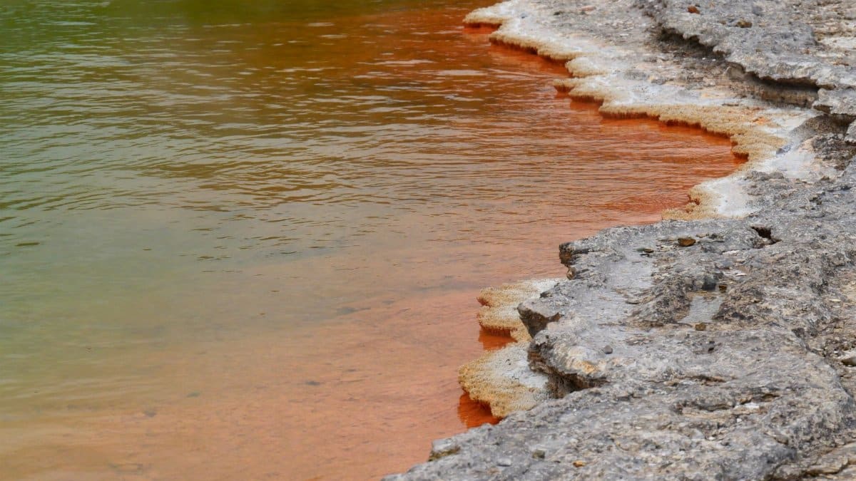 Striking geothermal pool with orange and green hues at Wai-O-Tapu Thermal Park, Rotorua.