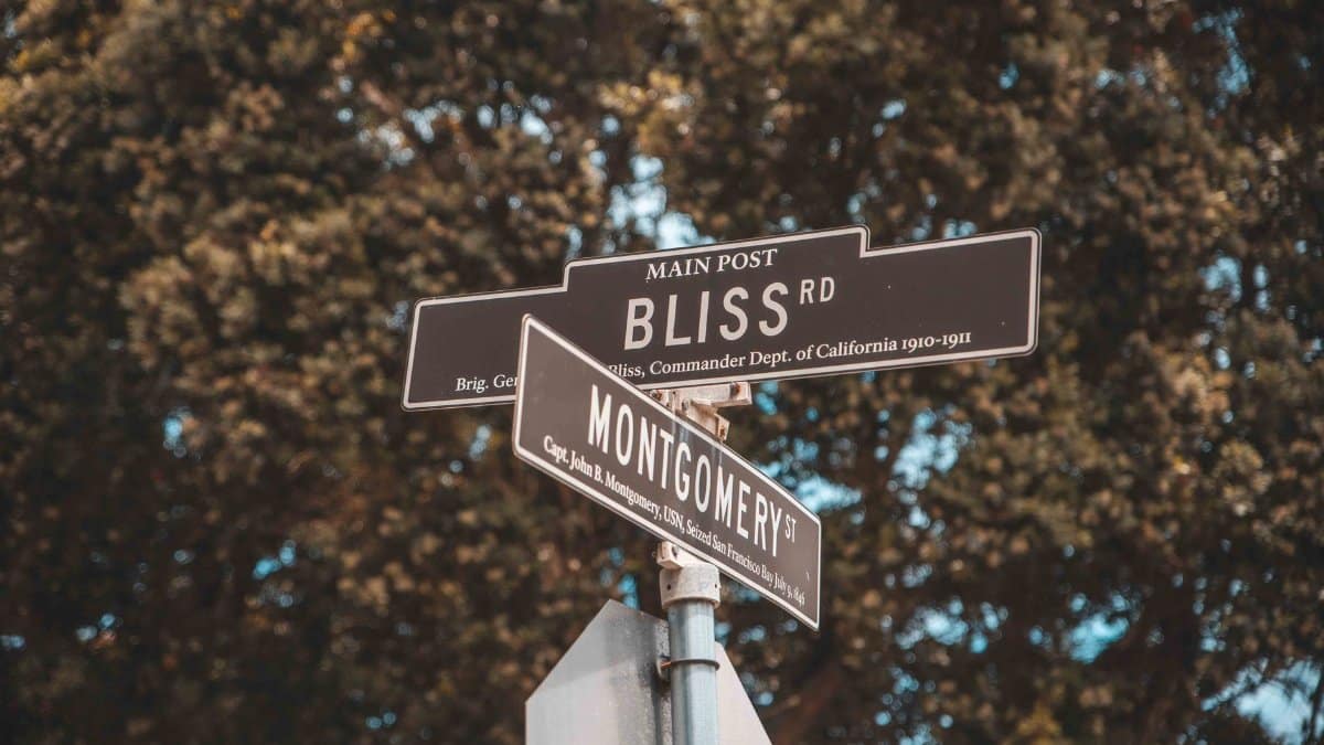 Street signs at an intersection in San Francisco, California with trees in the background.
