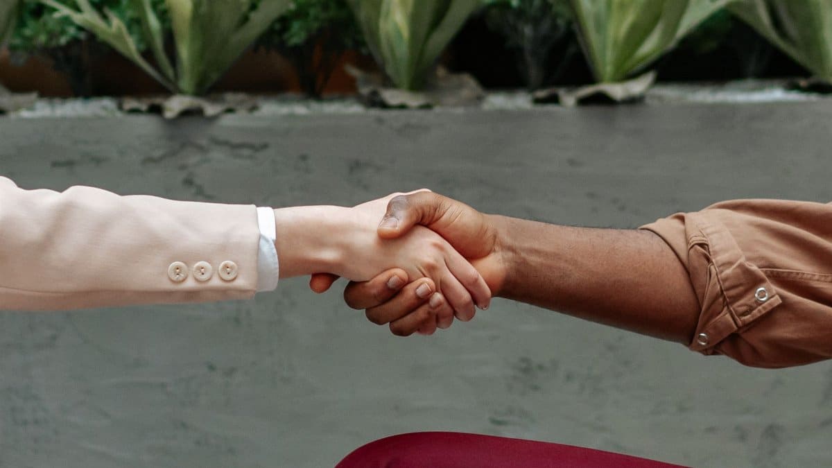 Close-up of diverse hands shaking indoors, symbolizing partnership and agreement.