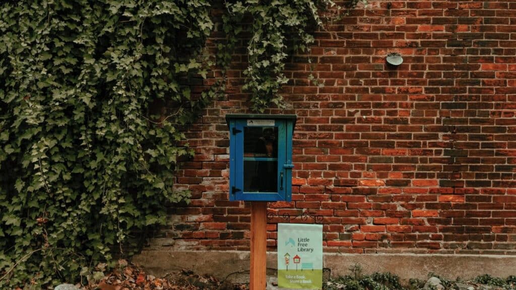 Charming Little Free Library in a blue box, set against a rustic brick wall with lush ivy.