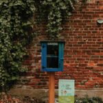 Charming Little Free Library in a blue box, set against a rustic brick wall with lush ivy.